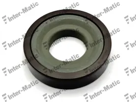 RUEDA-MAGNETICA-TYPE-1